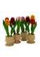 Holland & tulpensouvenirs