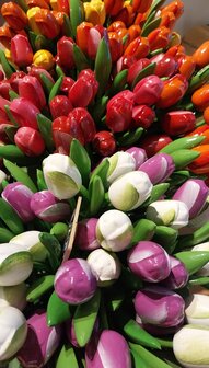 5 wooden tulips on stem