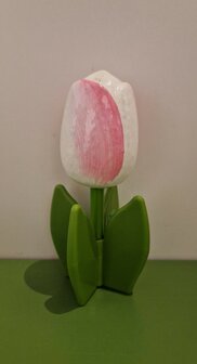 Staande tulpen