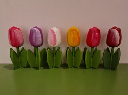 Staande tulpen