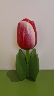 5 staande houten tulpen