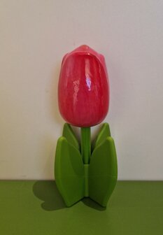 5 staande houten tulpen