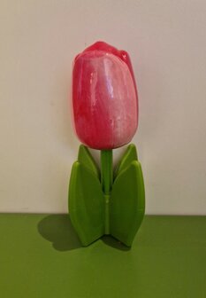 5 staande houten tulpen