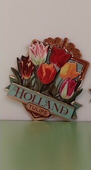 Magneet tulpen