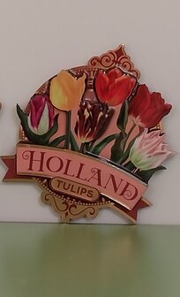 Magneet tulpen