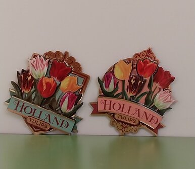 Magneet tulpen