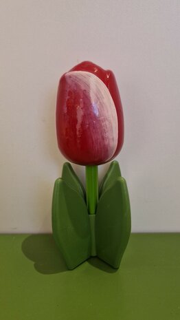 Staande tulpen