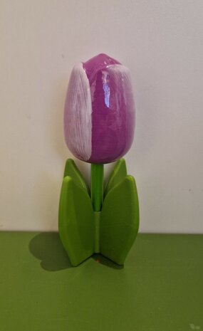 Staande tulpen