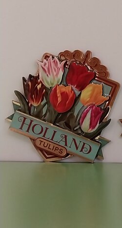 Magneet tulpen