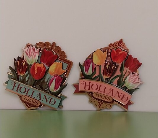 Magneet tulpen