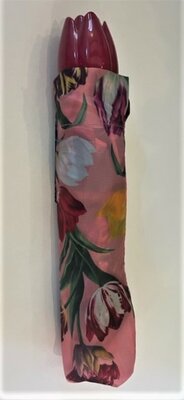 Tulpen paraplu
