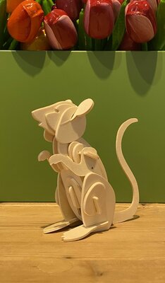 Bouwpakket muis