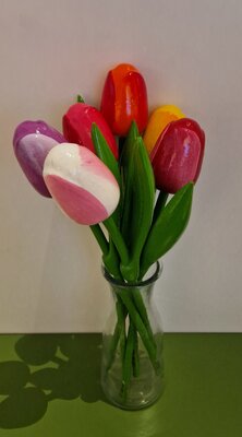 5 Holztulpen am Stiel