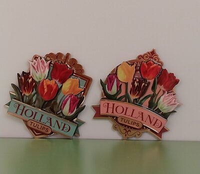 Magneet tulpen