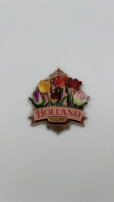 Magneet tulpen