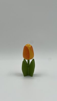 Staande tulpen