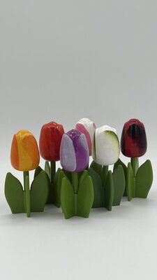 5 Holztulpen am Stiel